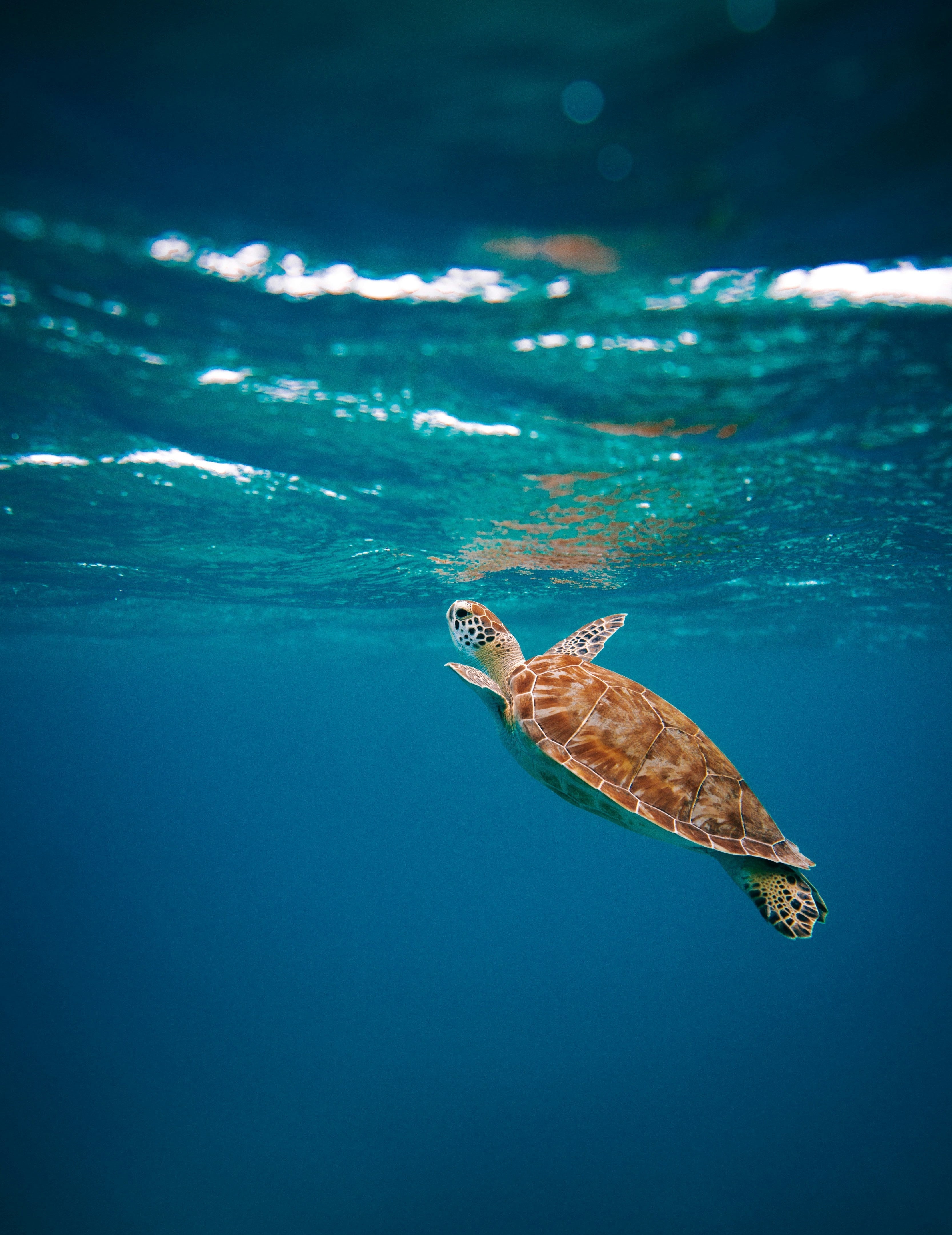 Ehrlich zur Nachhaltigkeit